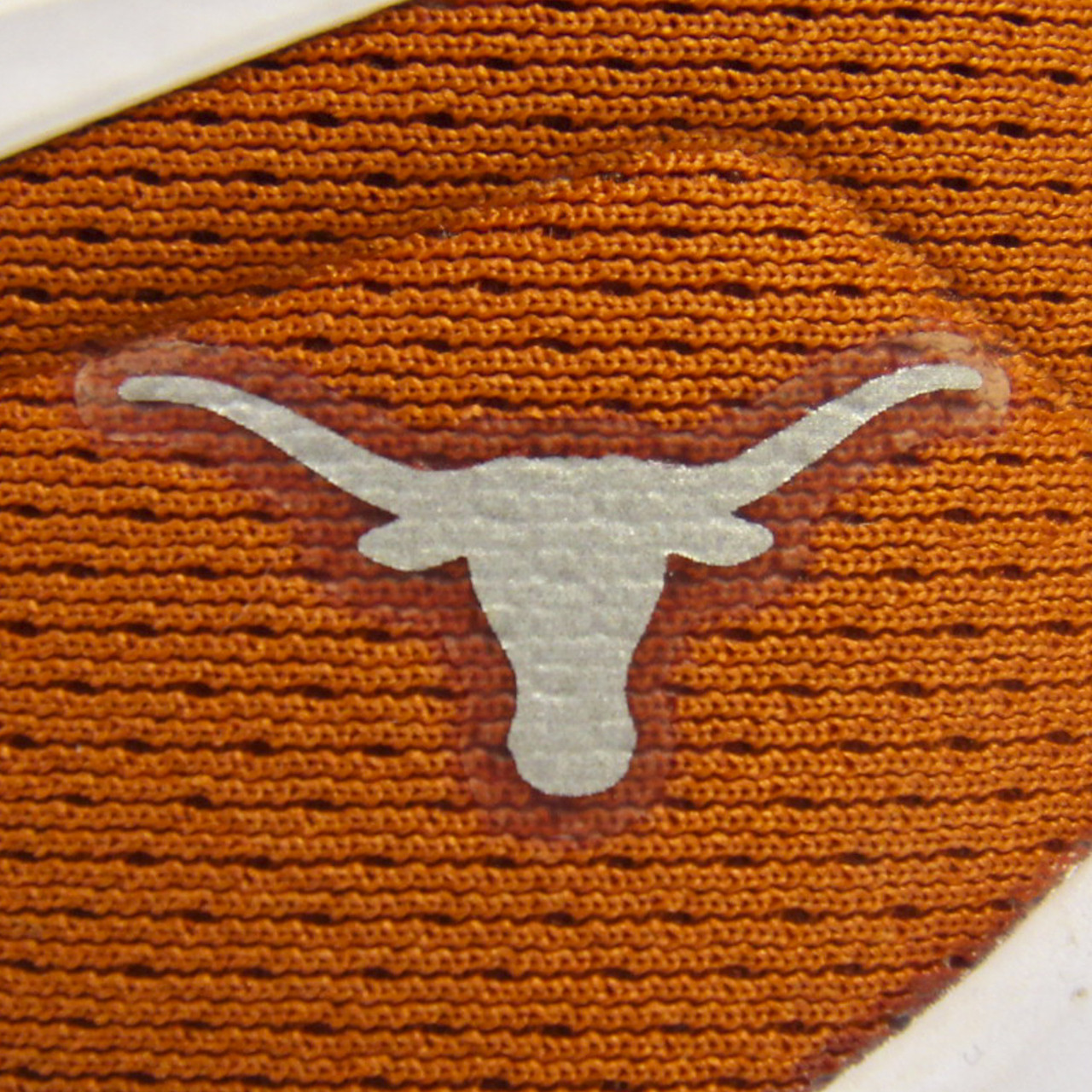 Texas Longhorns